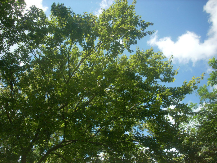 DSCN0805