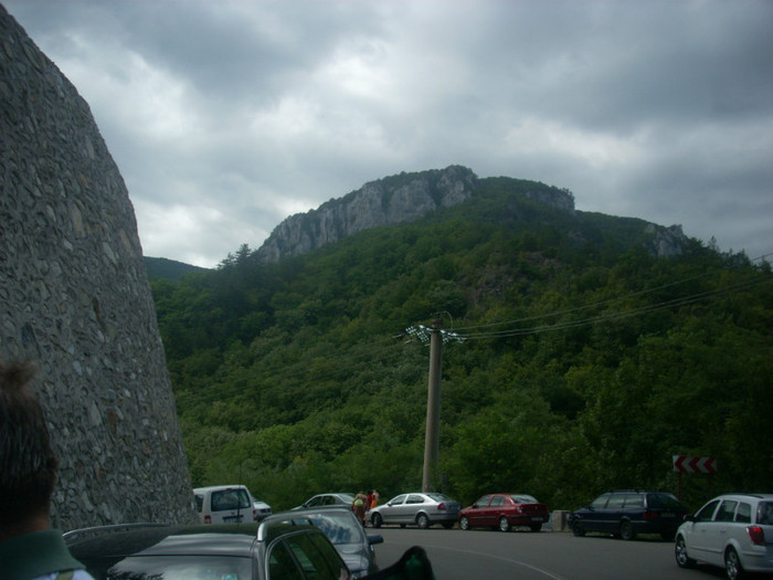 DSCN0813