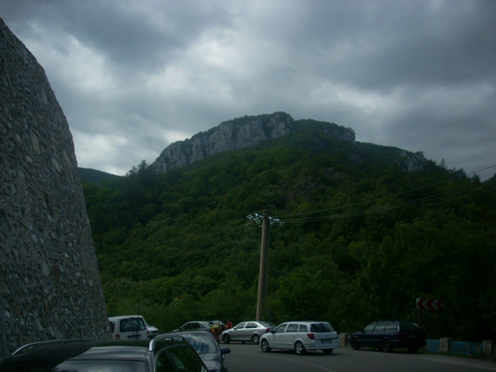 DSCN0814