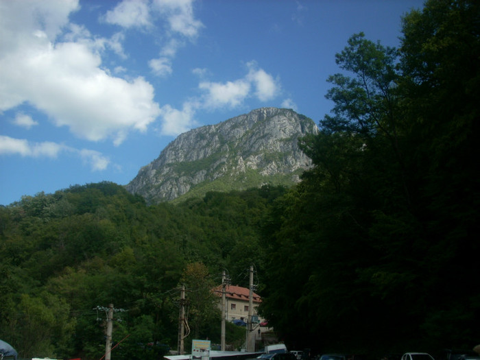 DSCN0815