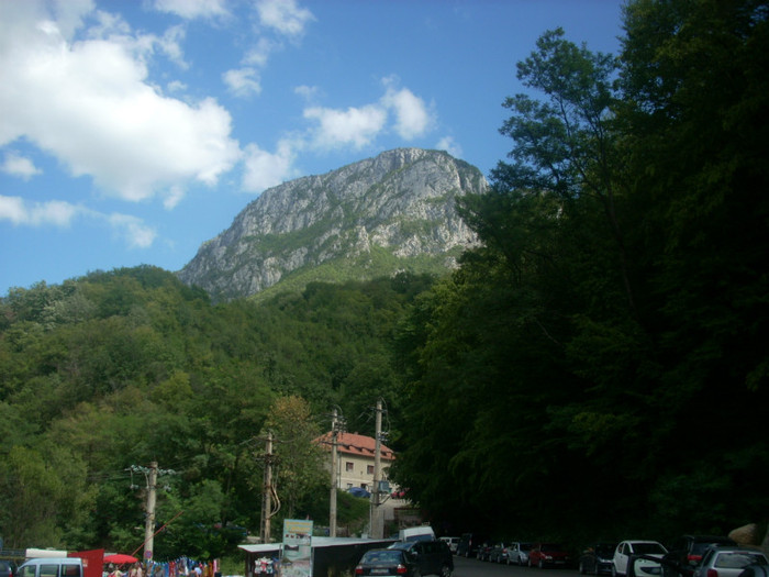 DSCN0816