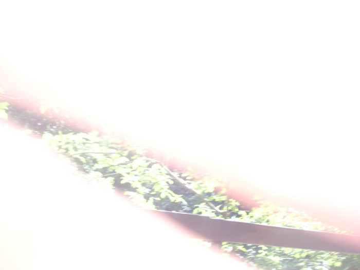 DSCN0818