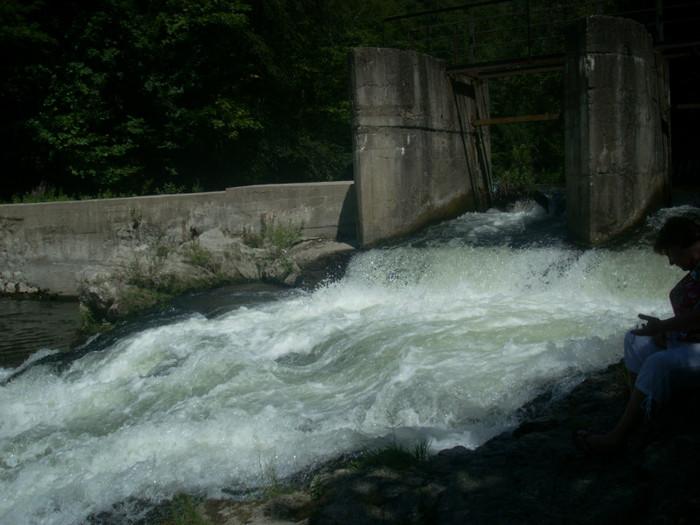 DSCN0824