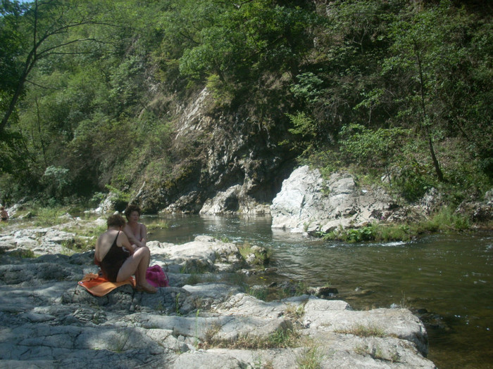 DSCN0826