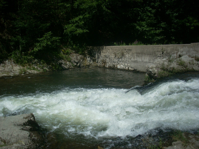 DSCN0828