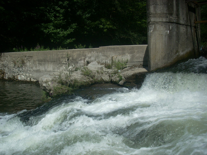 DSCN0833