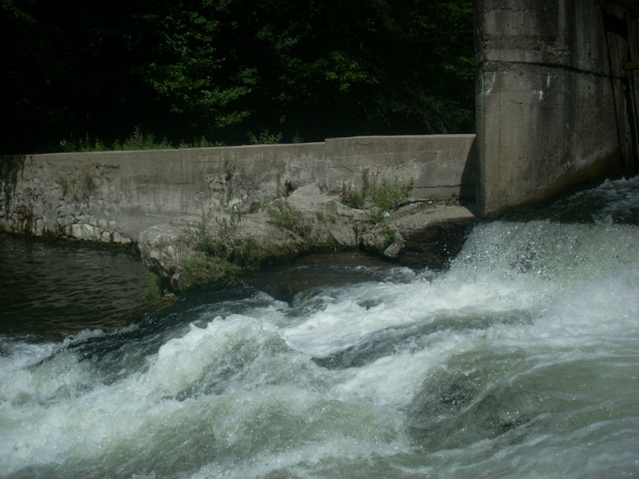 DSCN0834