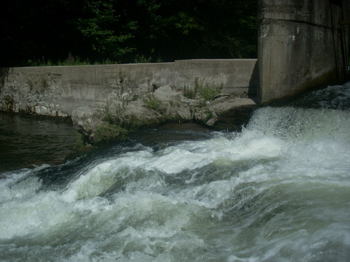 DSCN0835