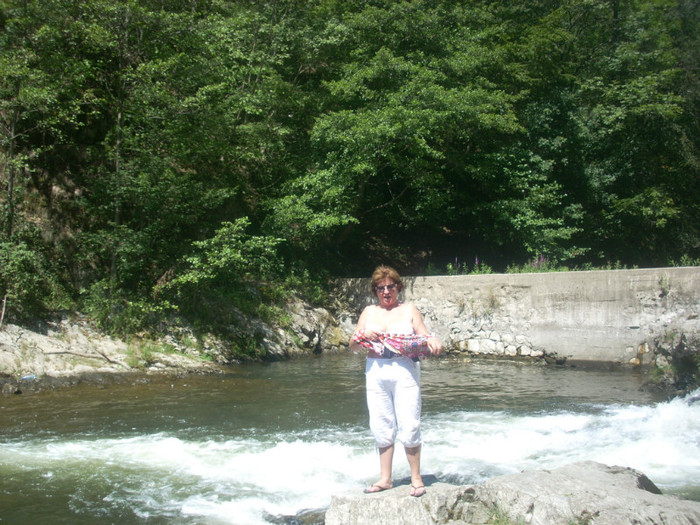 DSCN0838
