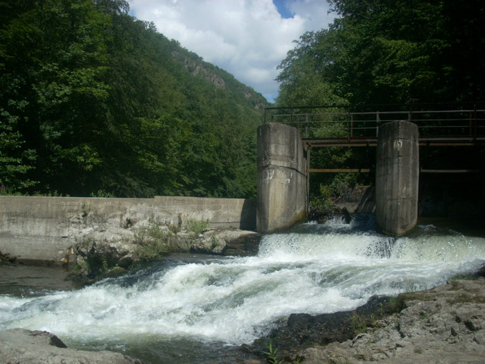 DSCN0840