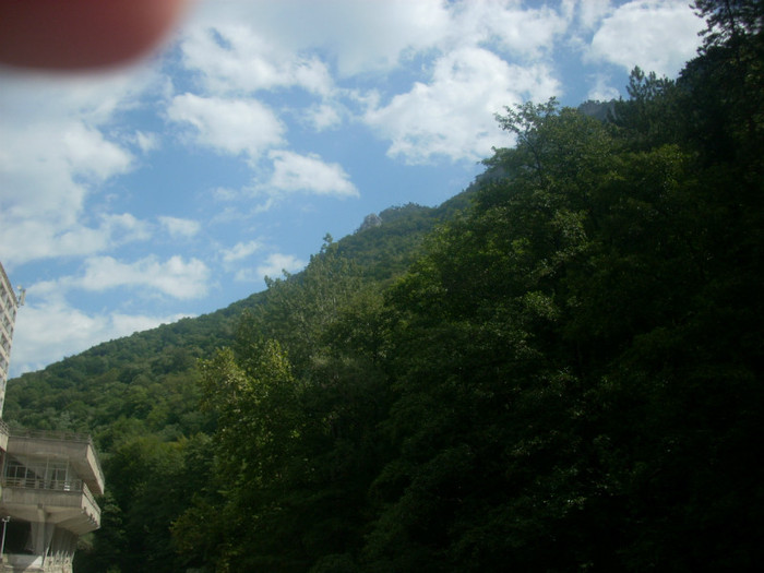 DSCN0849