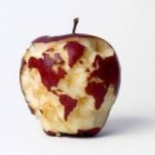 Sculpturi-in-fructe-si-legume-8-120x120 - sculpturile fructelor