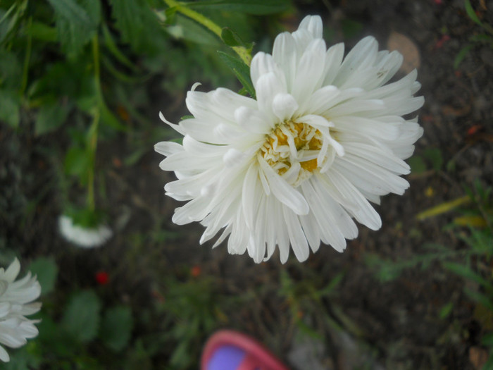 DSCN3312