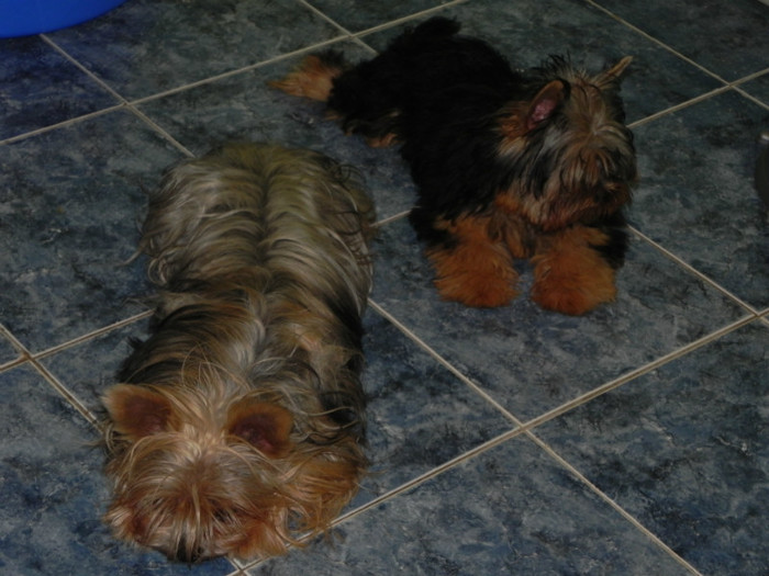 Bikko & Mika
