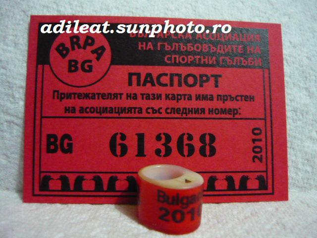 BULGARIA-2010-CIP - BULGARIA-BG-ring collection