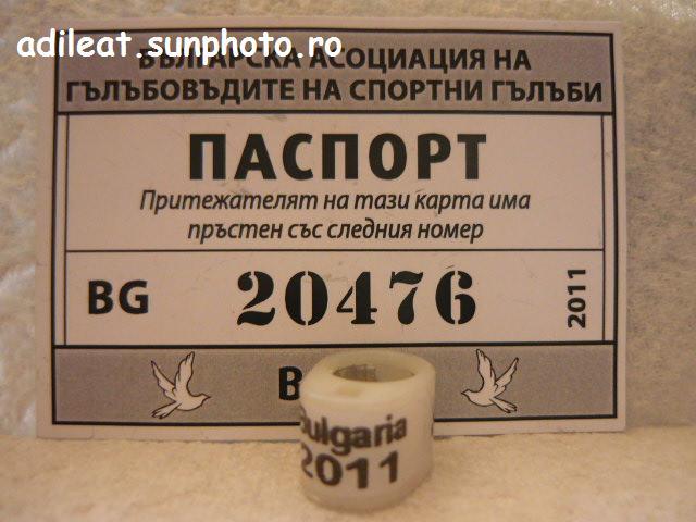 BULGARIA-2011-CIP - BULGARIA-BG-ring collection