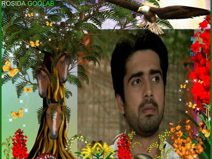 G5tEM - Avinash Sachdev