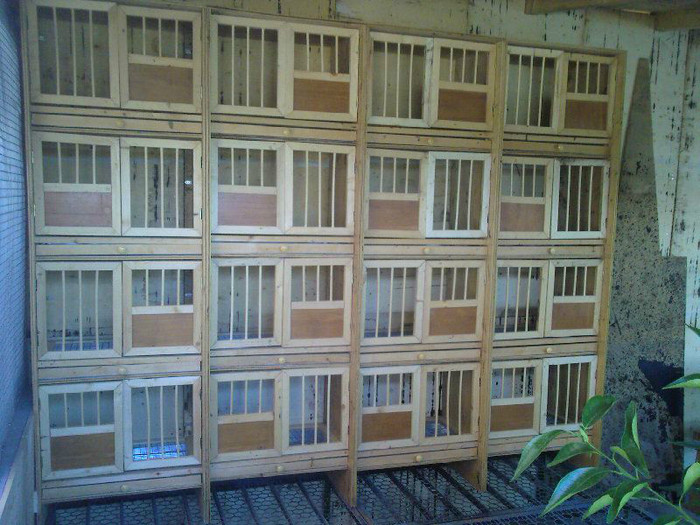 292400_265237256925236_1636763517_n