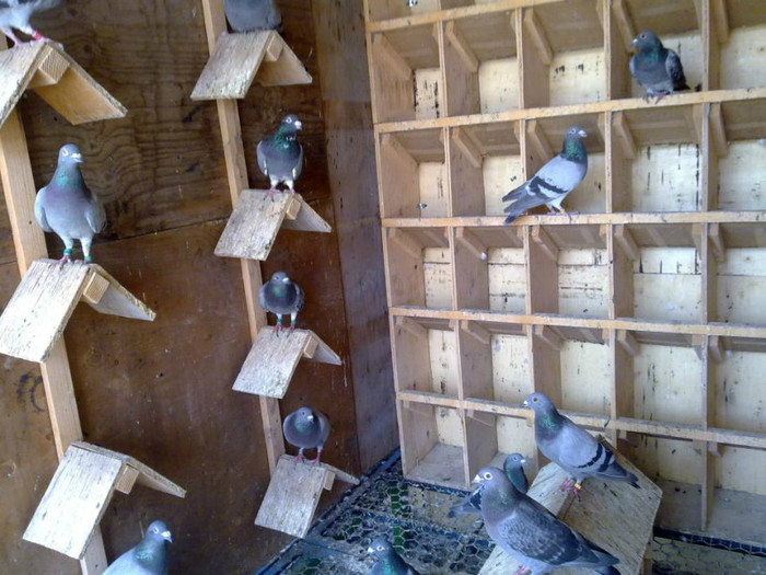 394200_272293499552945_480408908_n