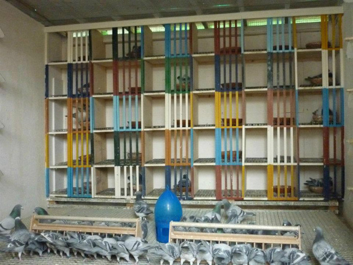 421767_271330169614209_1061399913_n