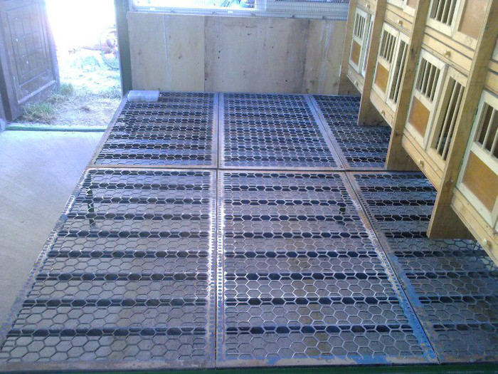 427559_265237203591908_507654174_n