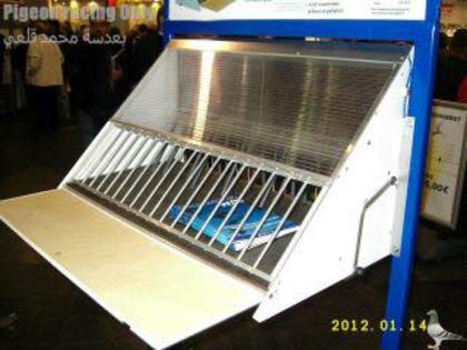 553388_277773565636536_2142375676_n