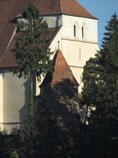 Sighisoara - Contact-Sighisoara