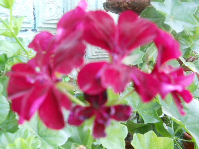 DSCN3340
