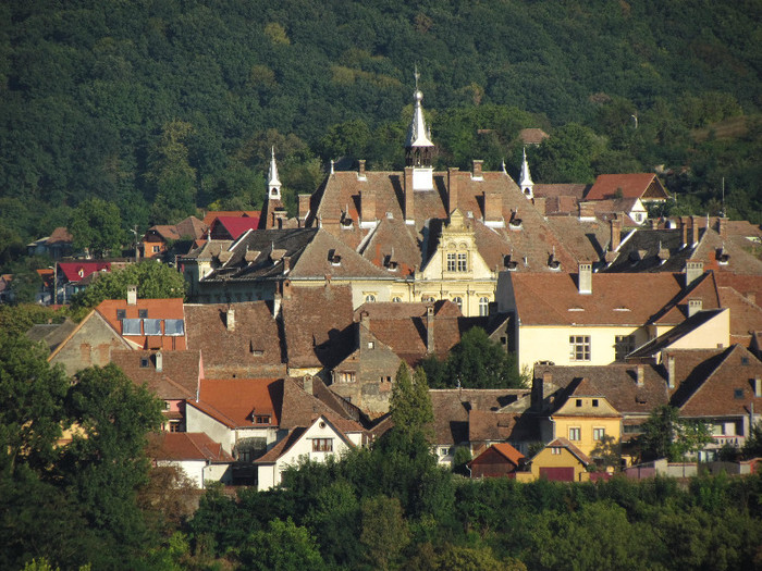 IMG_7709 - Contact-Sighisoara
