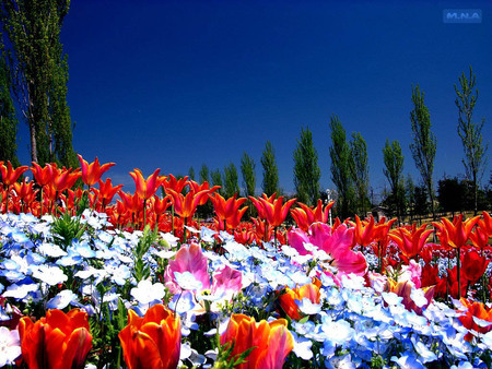 Iti simt parfumul dulce, simt respiratia si suspinul usor. Ma simt pierdut, vreau sa fiu sigur ca es