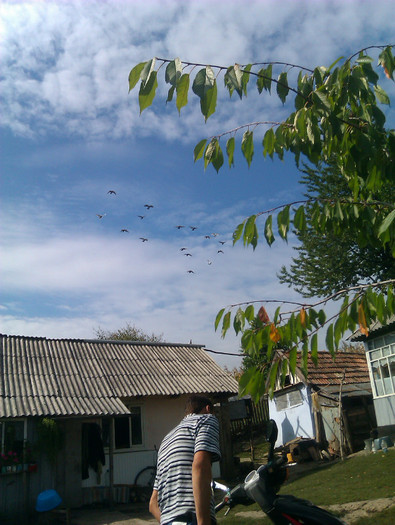 IMAG0308