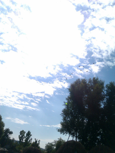 IMAG0309