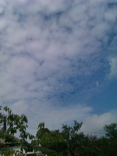 IMAG0311