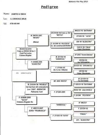 BALKANIC FAIR PLAY 2012 CIOBANU B