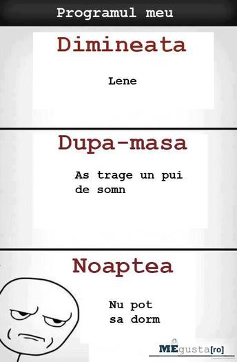 422891_223468024446543_1210384372_n