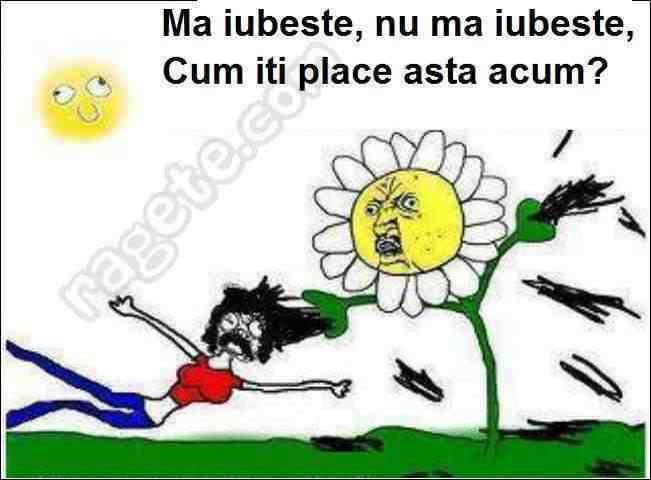 534167_223838641076148_1792844378_n