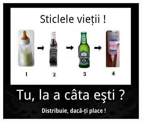 540044_396239797108018_1159022646_n