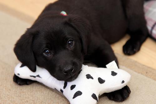 480023_216074098519269_1258662015_n