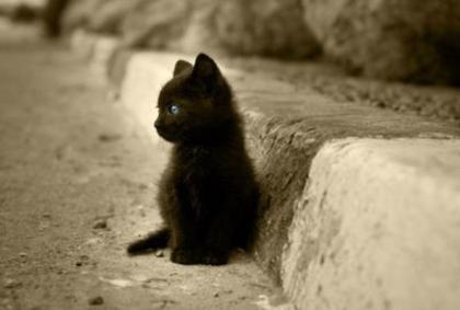 576212_212262965567049_903894795_n - Sweet