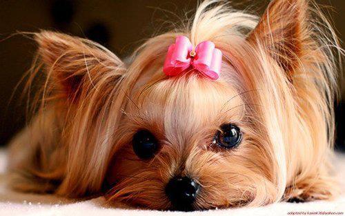 603452_219610808165598_269505638_n