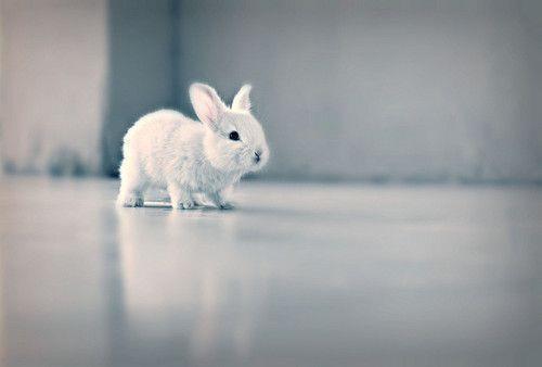 644695_223700437756635_627796567_n