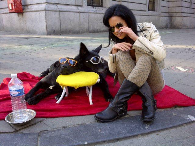 526147_303862579689198_90257207_n