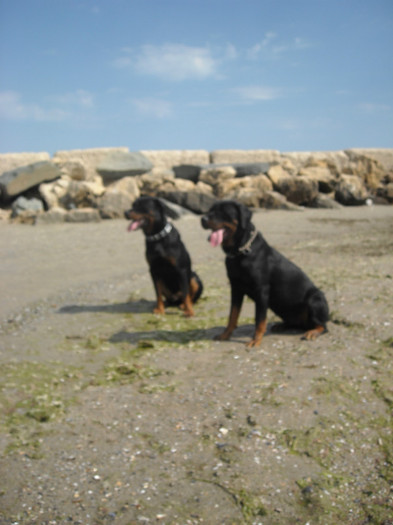 DSCN0181