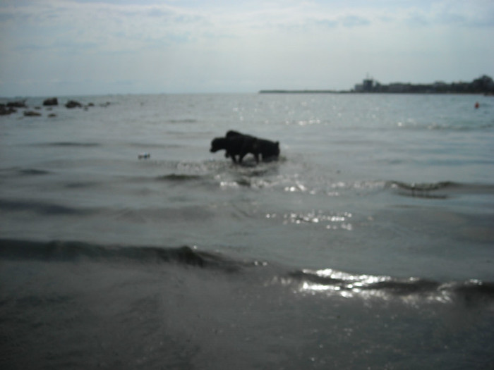 DSCN0190
