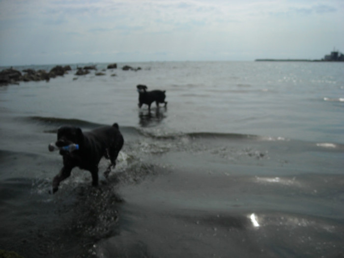 DSCN0191