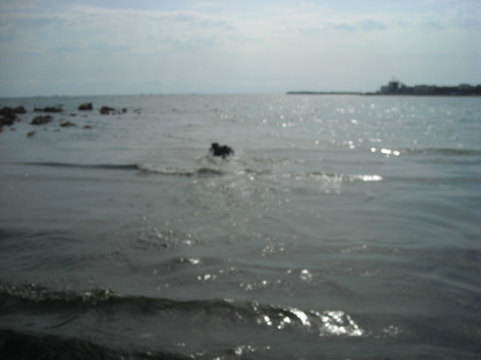 DSCN0193