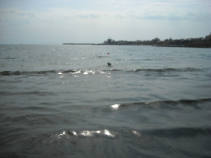 DSCN0199