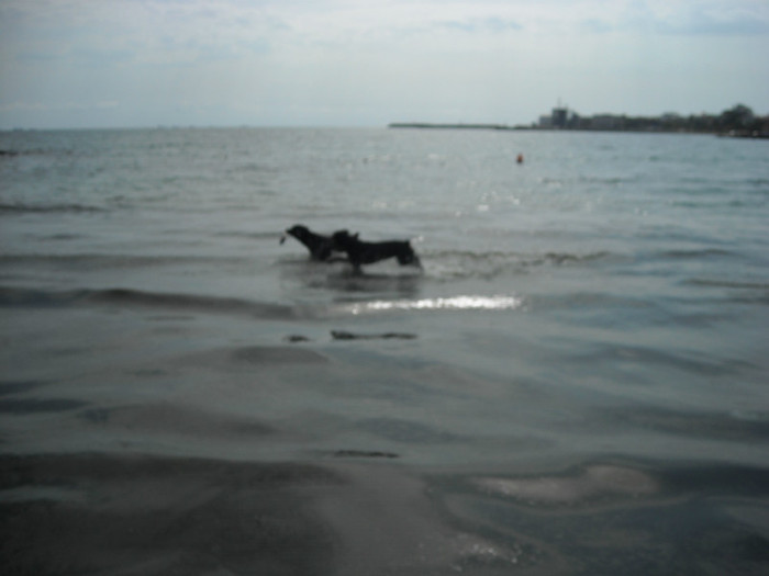 DSCN0204