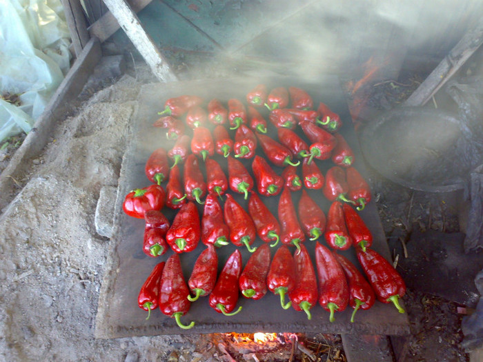 capia din solaru propriu