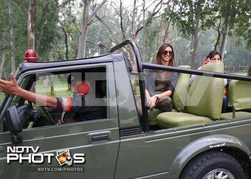 tumblr_m8ig9zmA6C1qfh6gt